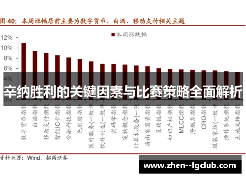 辛纳胜利的关键因素与比赛策略全面解析