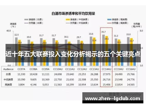 近十年五大联赛投入变化分析揭示的五个关键亮点