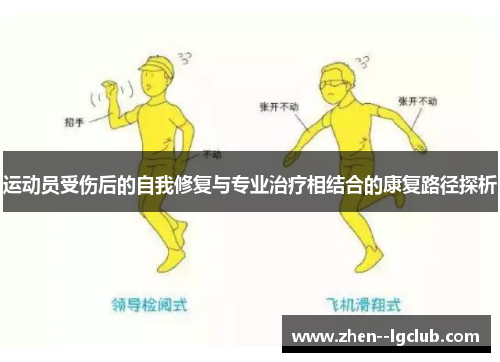 运动员受伤后的自我修复与专业治疗相结合的康复路径探析